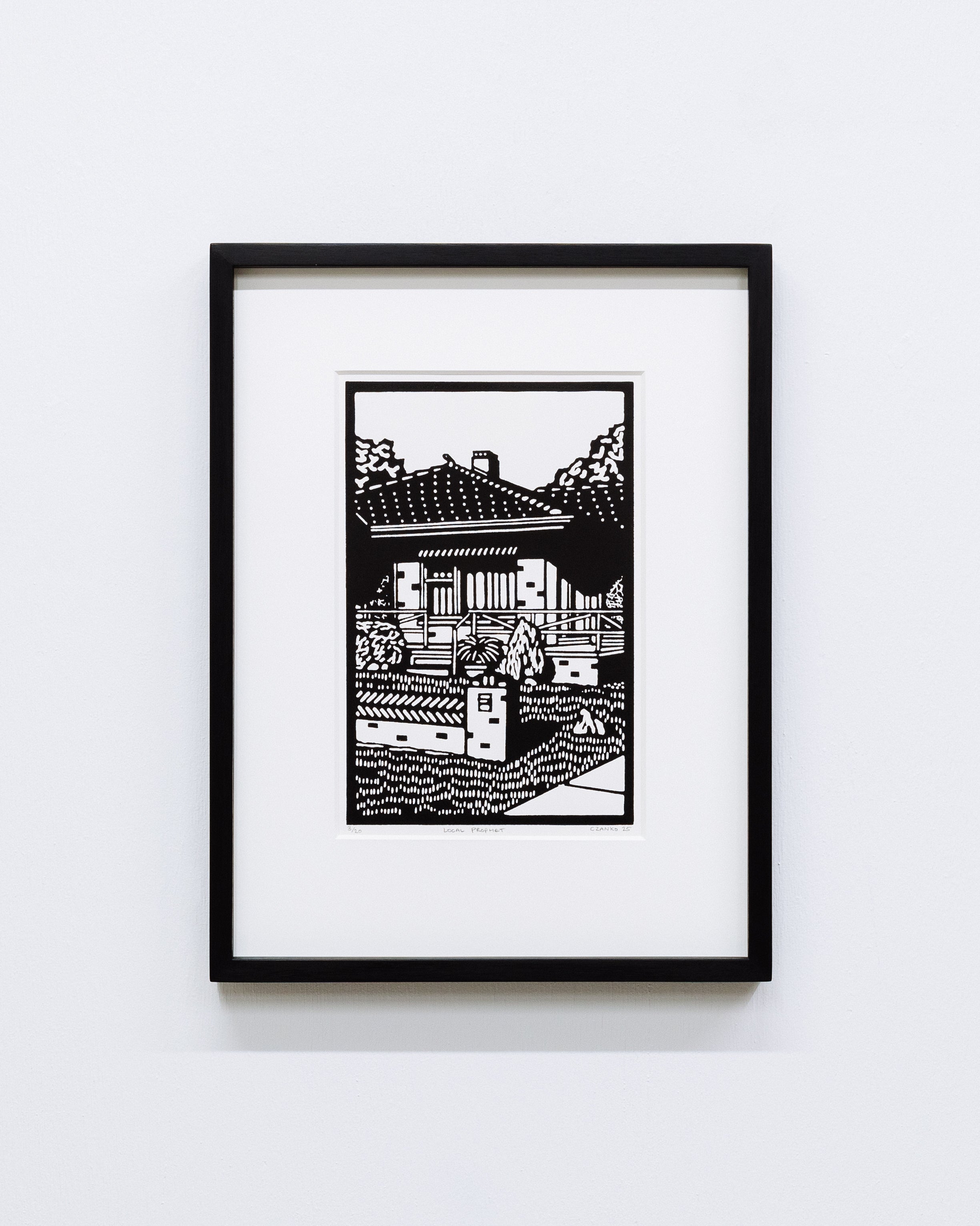 Christopher Zanko: Local Prophet (2025)