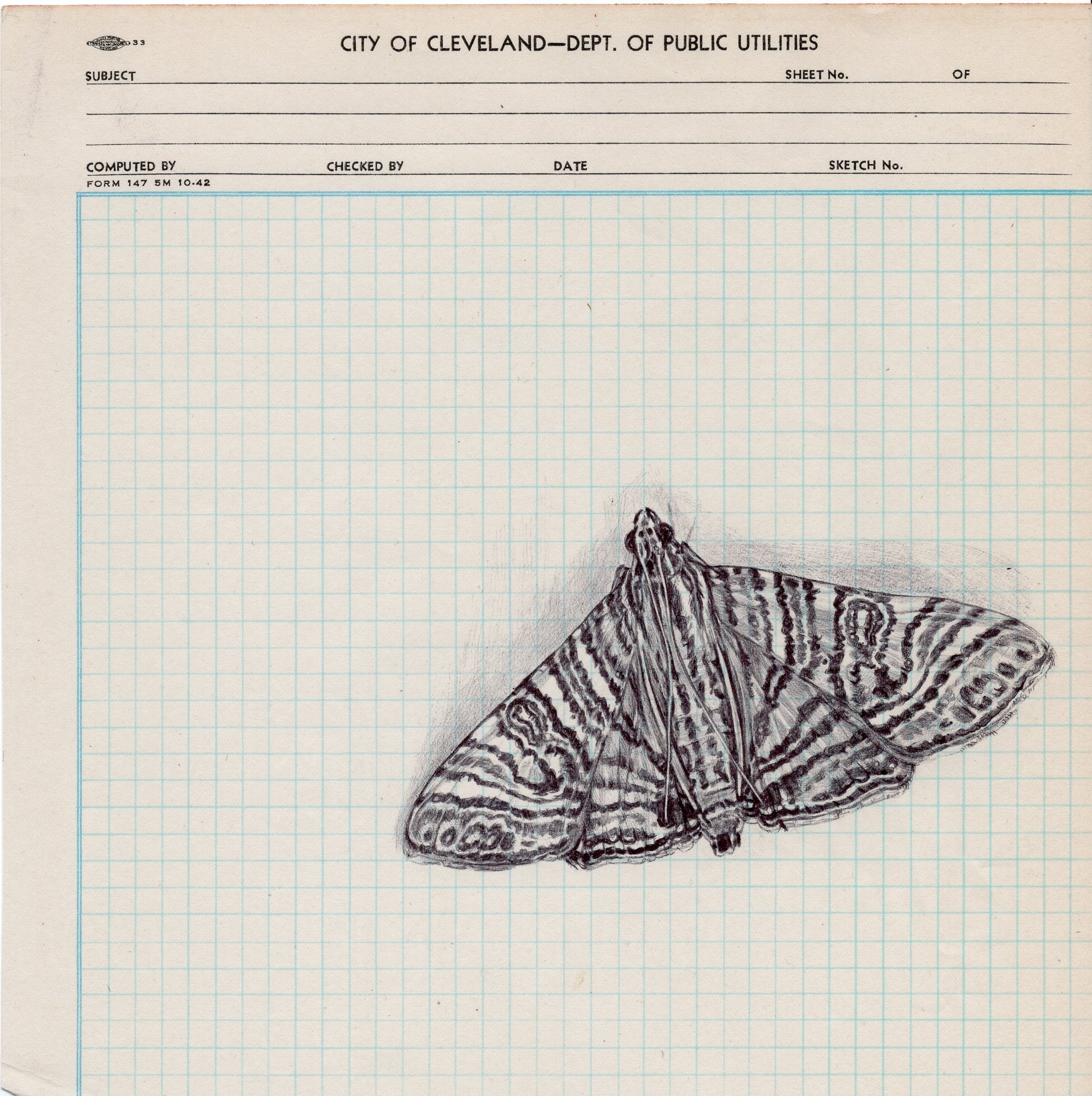 Neva Hosking: Moth II (2024)