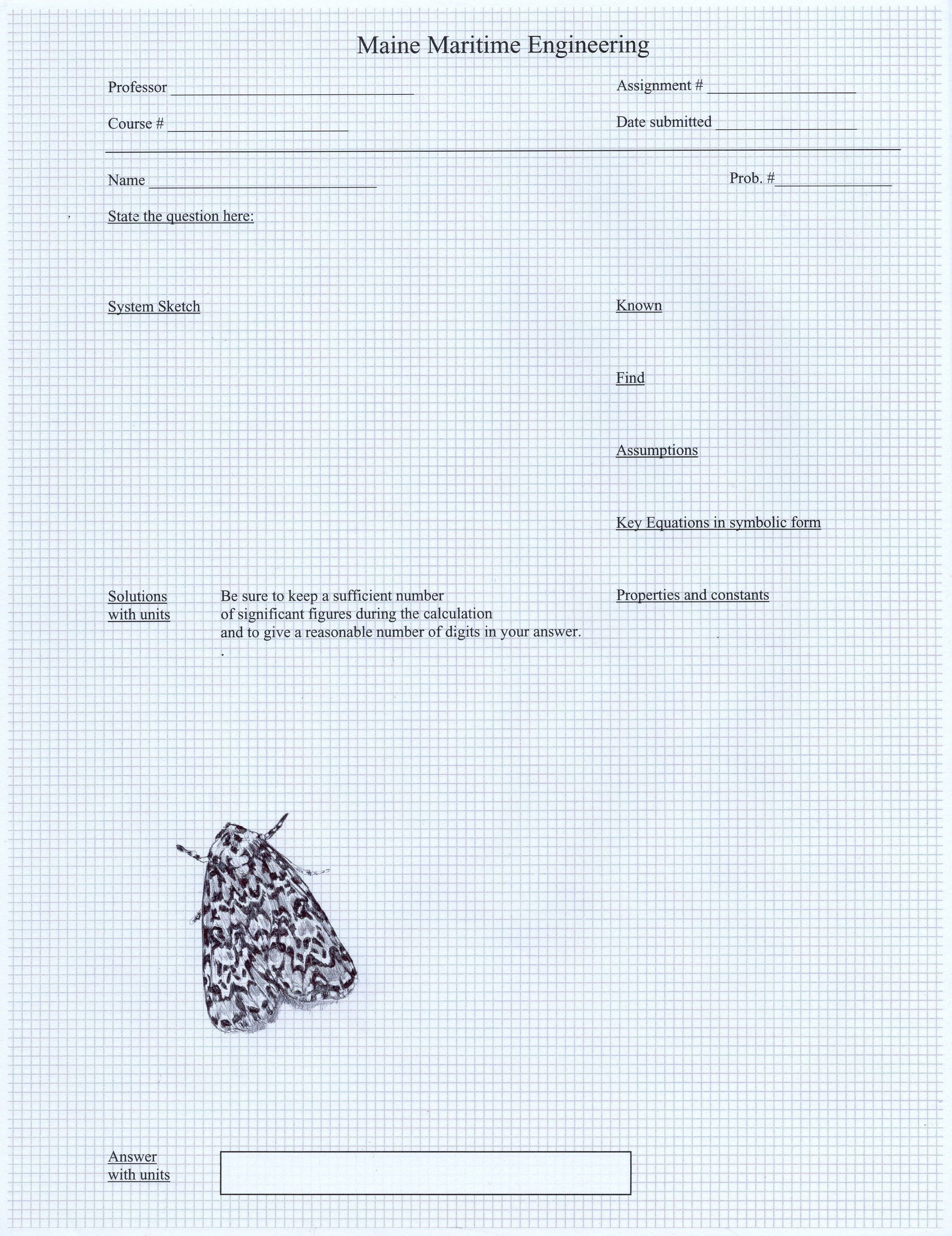 Neva Hosking: Moth VII (2024)