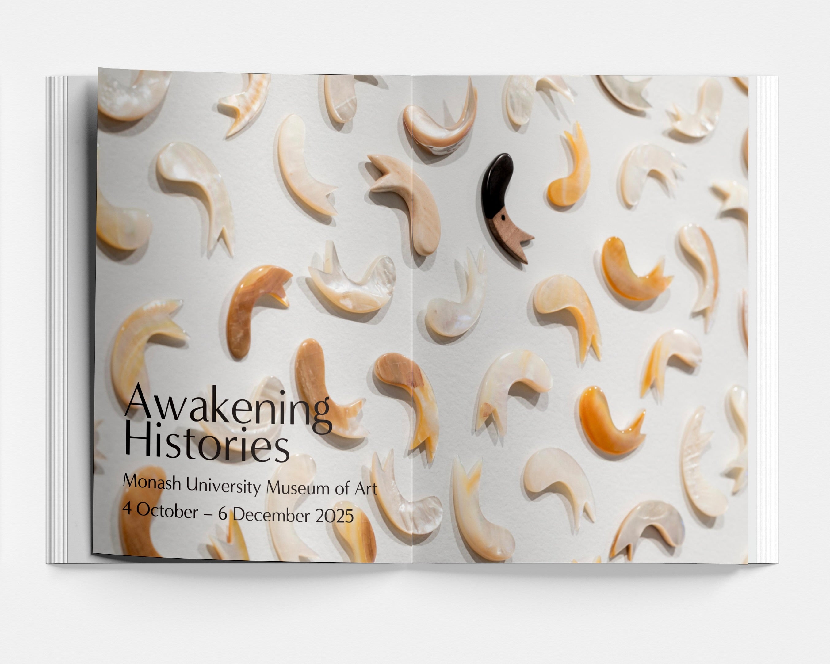 NSG Edition | Summer 2026